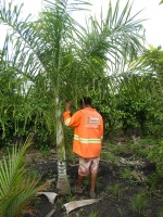 /album/seixo/a13-1-jpg/